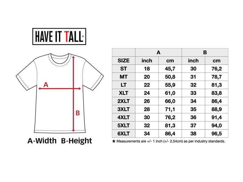 Have It Tall Soft Blend Fitted T Shirt  2 Pack - Have It Tall Europe